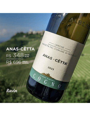 criativos_feed_anas cetta